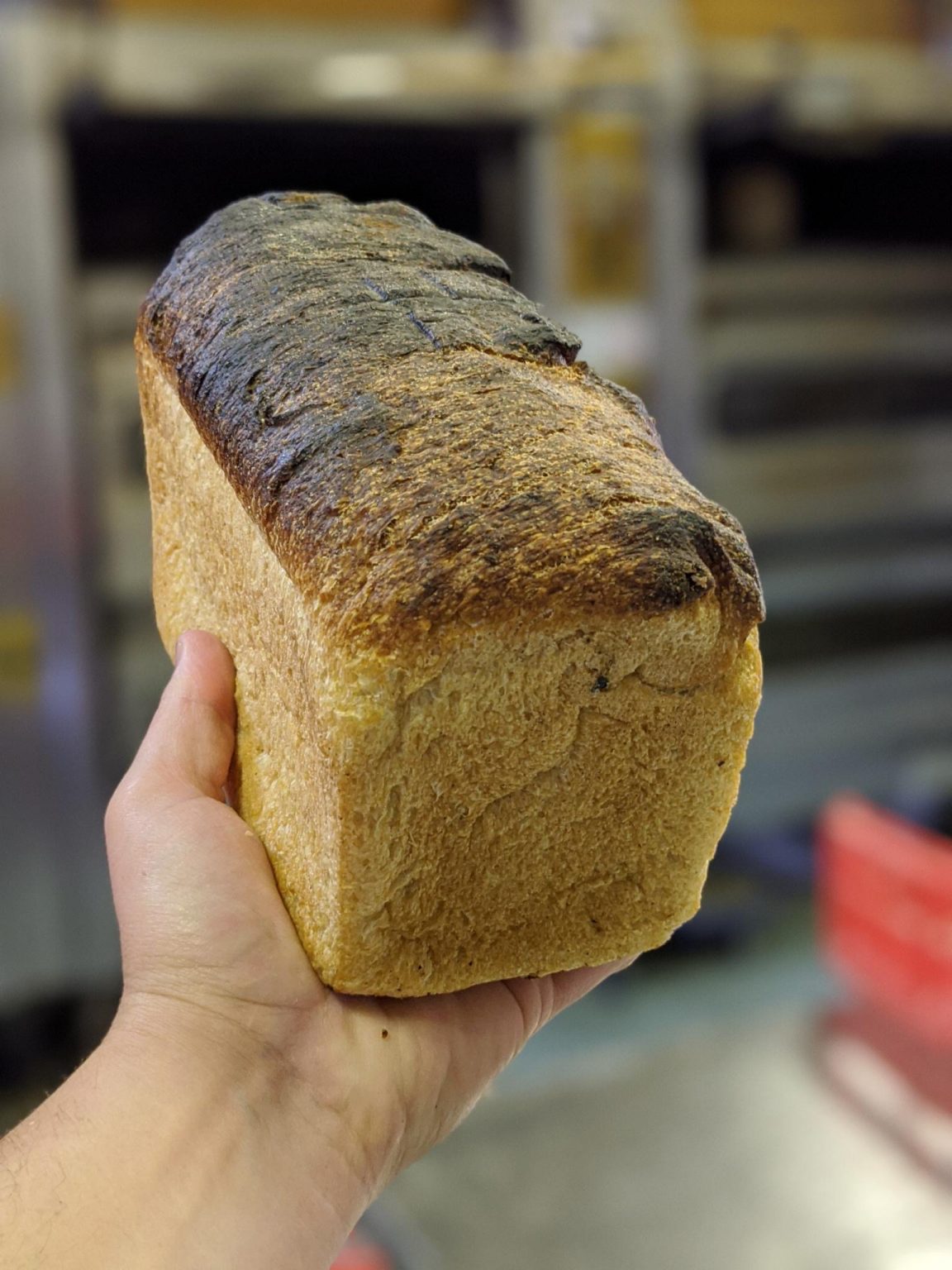 The Green Pantry The Denmark Health Shop